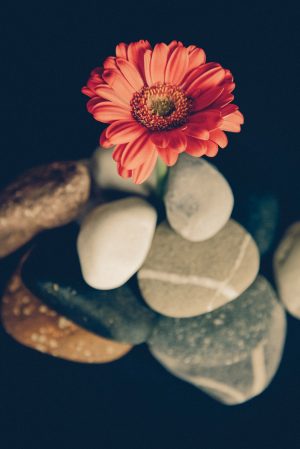 Rocks in a Jar